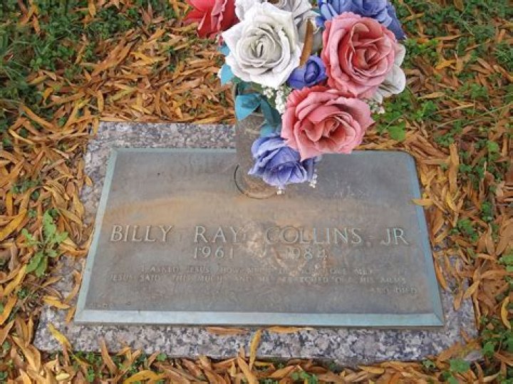 Billy Collins Jr. biografía, edad, altura, esposo, net worth, familia