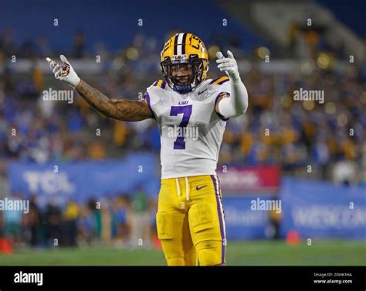 Derek Stingley Jr. Biography, Age, Height, Wife, Net Worth, Family