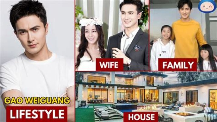 Gao Weiguang Biography, Age, Height, Wife, Net Worth, Family