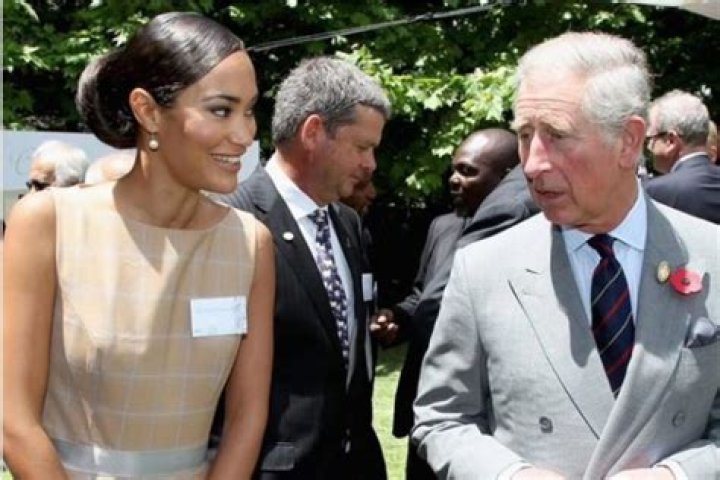 Jo-Ann Strauss Biography, Age, Height, Husband, Net Worth, Family