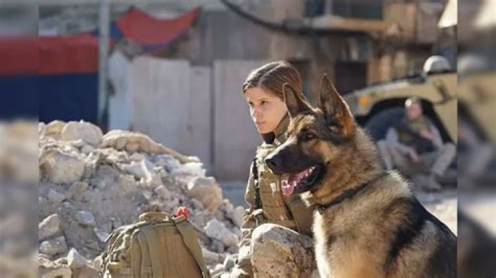 Megan Leavey Biography, Age, Height, Net Worth, Family