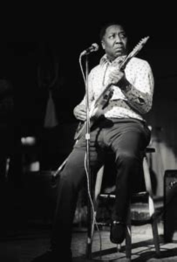 Muddy Waters Biography, Age, Height, Wife, Net Worth, Family